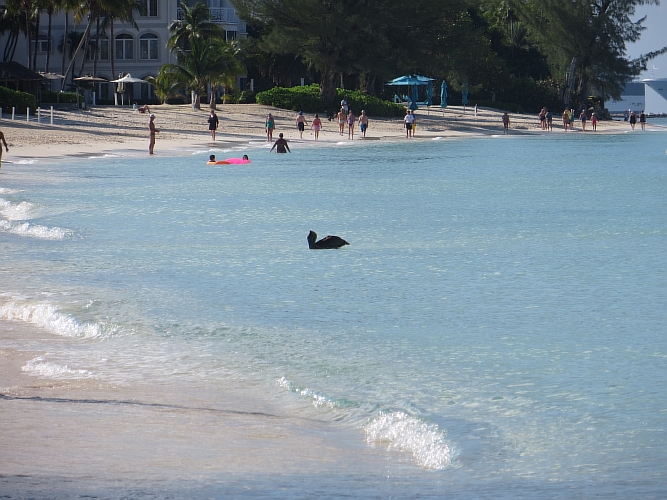 Kreuzfahrt _2016 (581).JPG